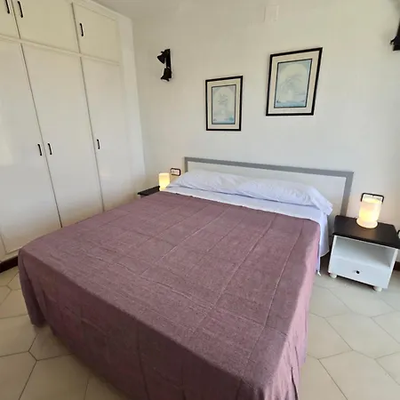 Novelty Apartment