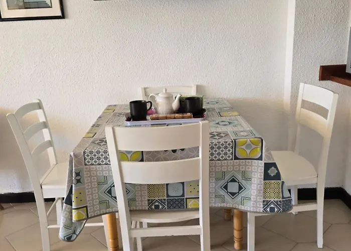 Novelty * סאלו